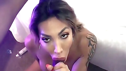 Amateur interracial blowjob and blowjob with big cock