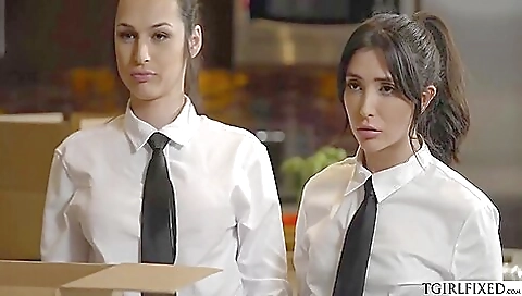 Sexy shemale gets her tiny tits pounded in her underwear